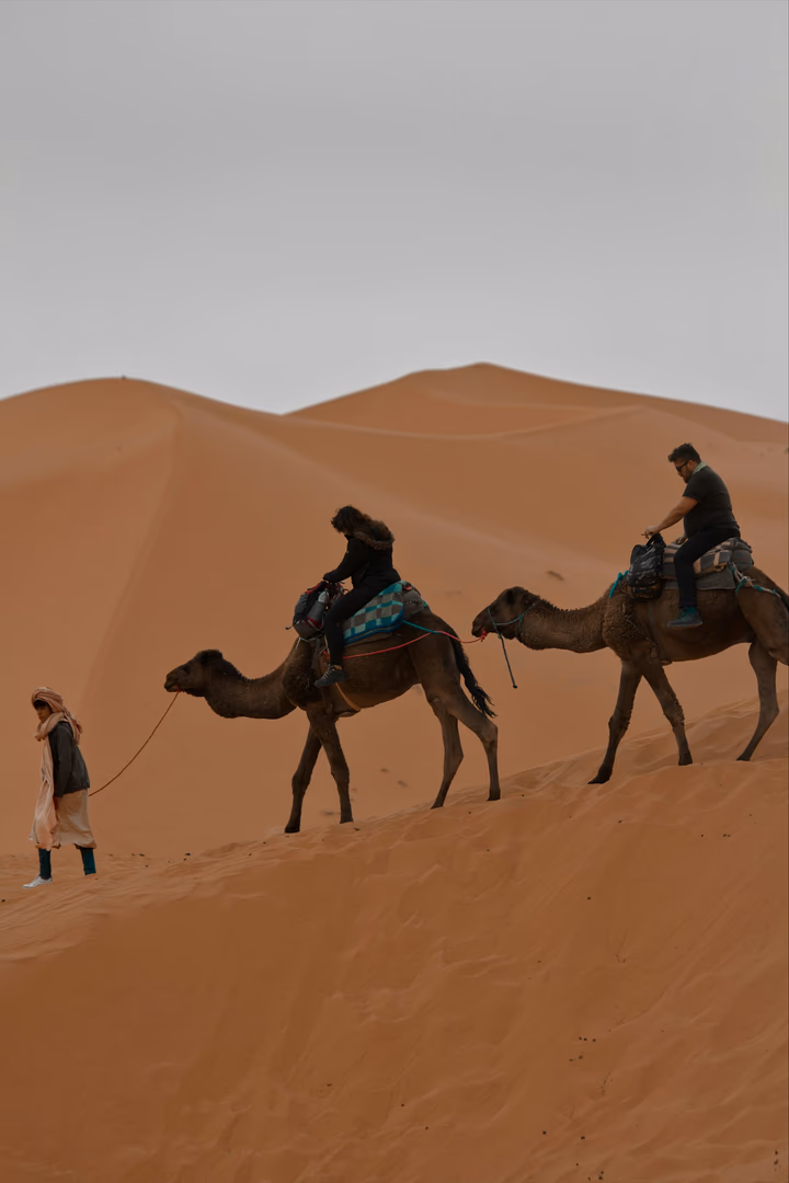 Camel Ride, view 1