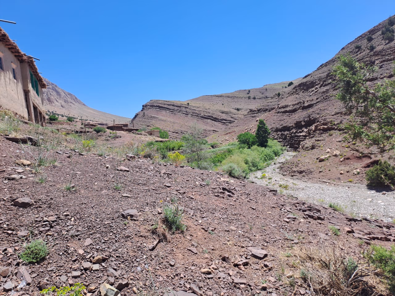 Drâa Expedition, photo 2