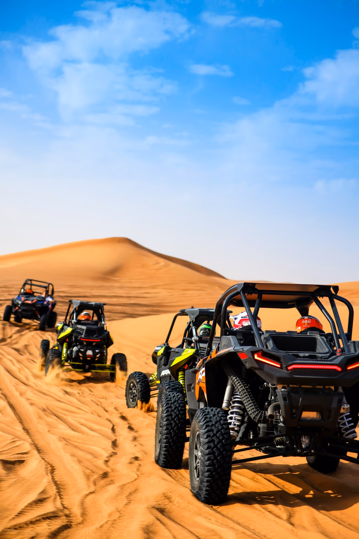 Buggy Excursion, photo 2