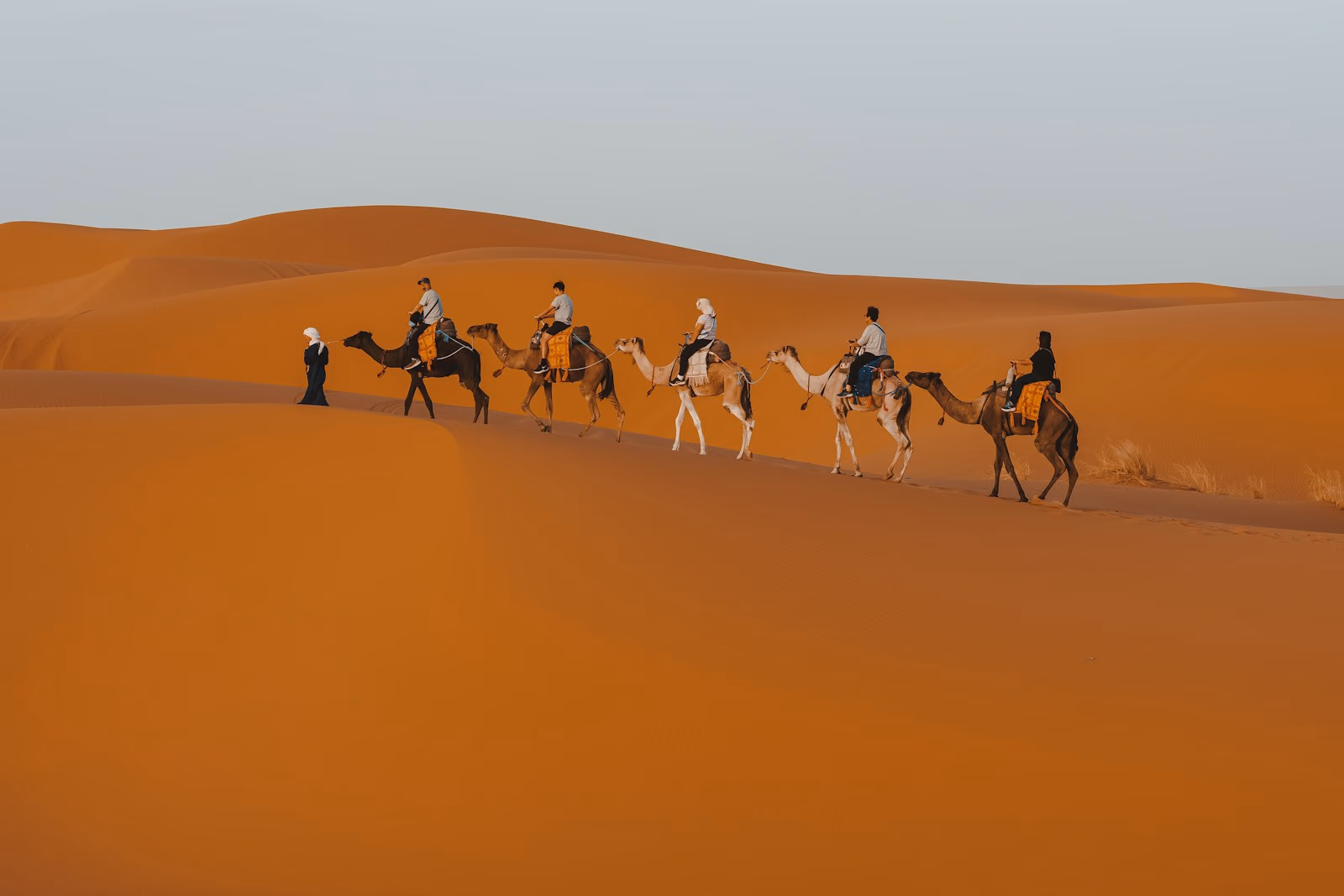Camel Ride, view 2