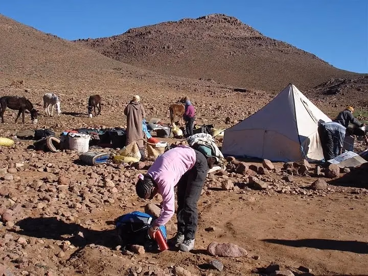 Luxury Desert Camp, view 3