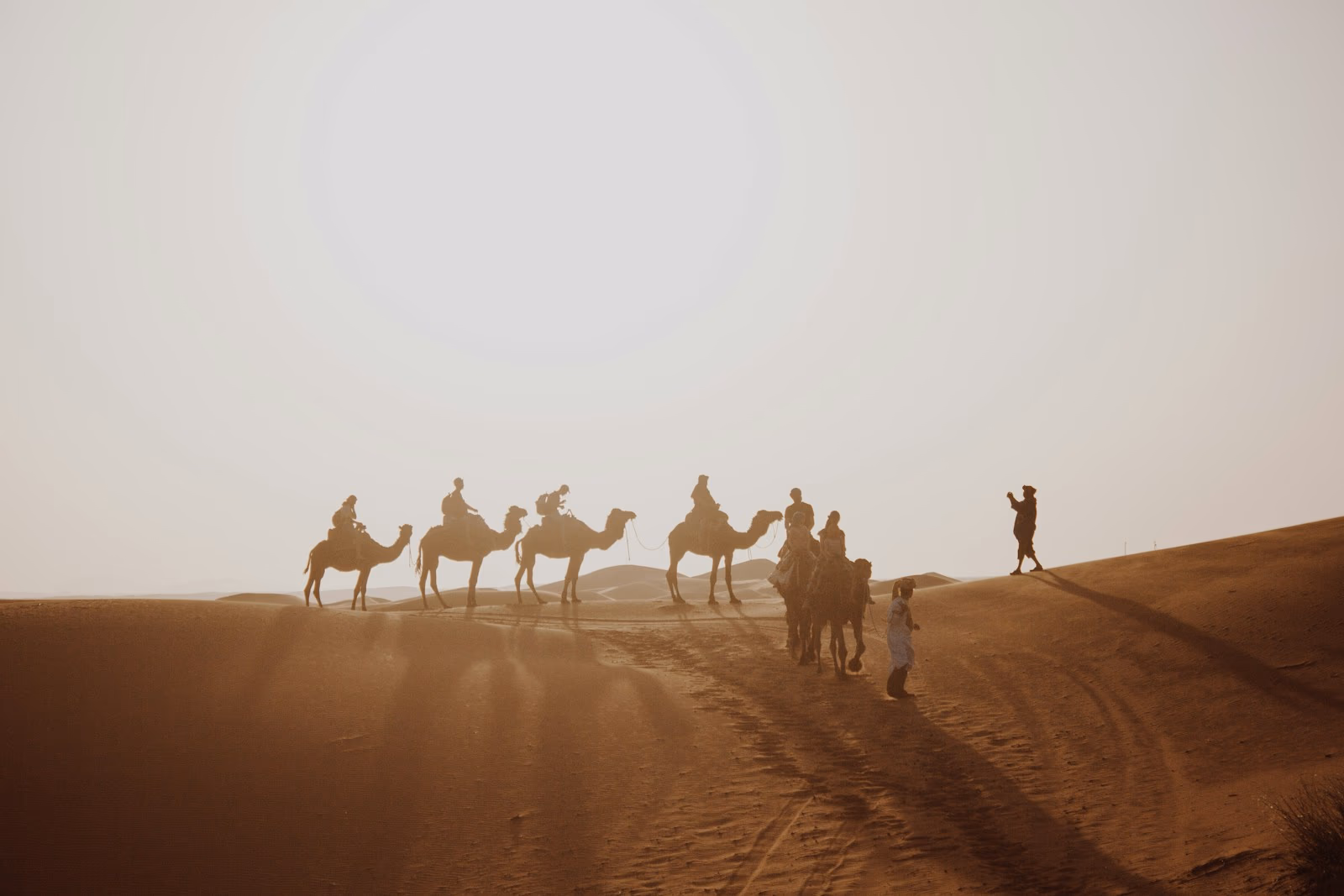 Camel Ride, view 3