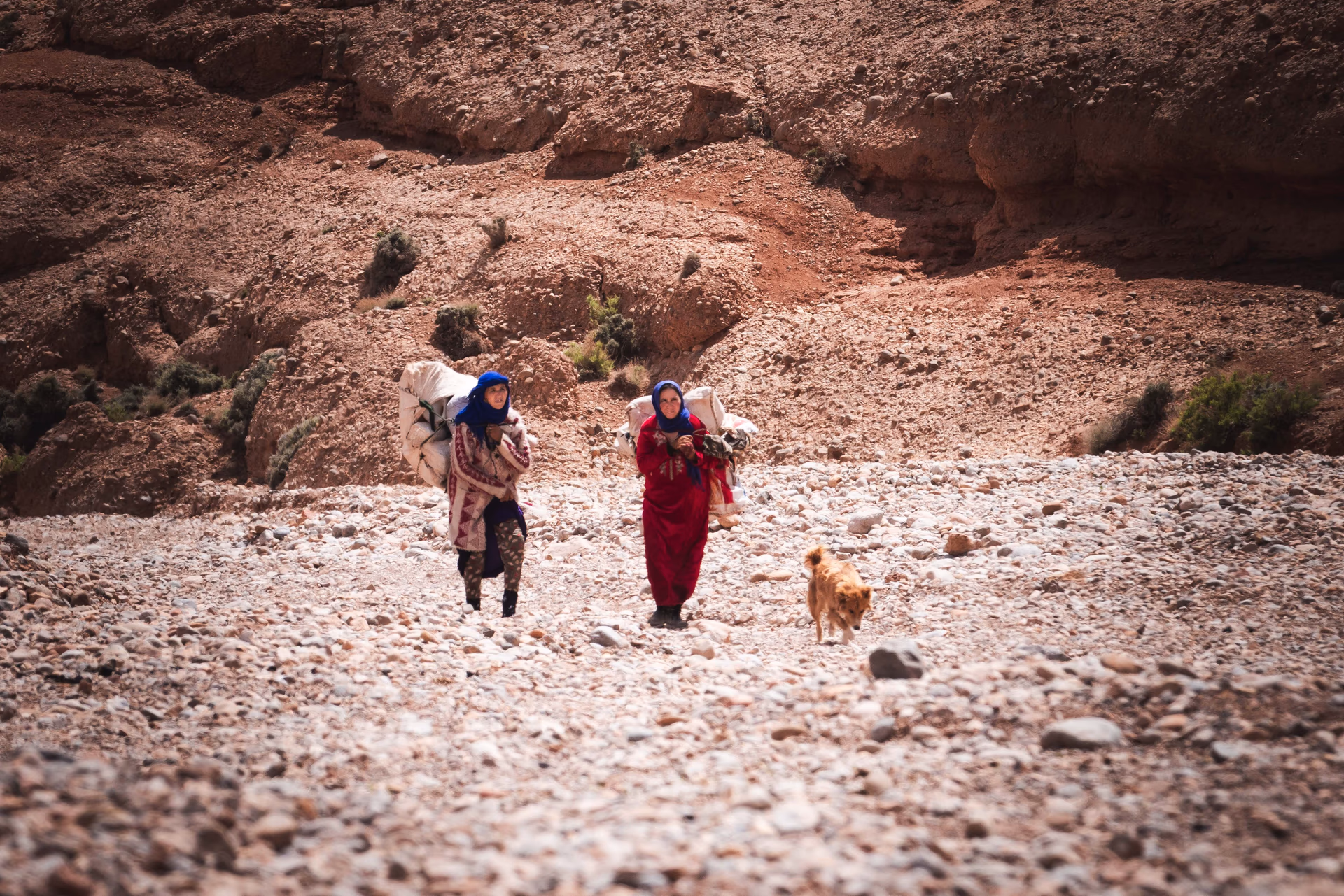 Valley of Roses & Kasbahs, photo 5