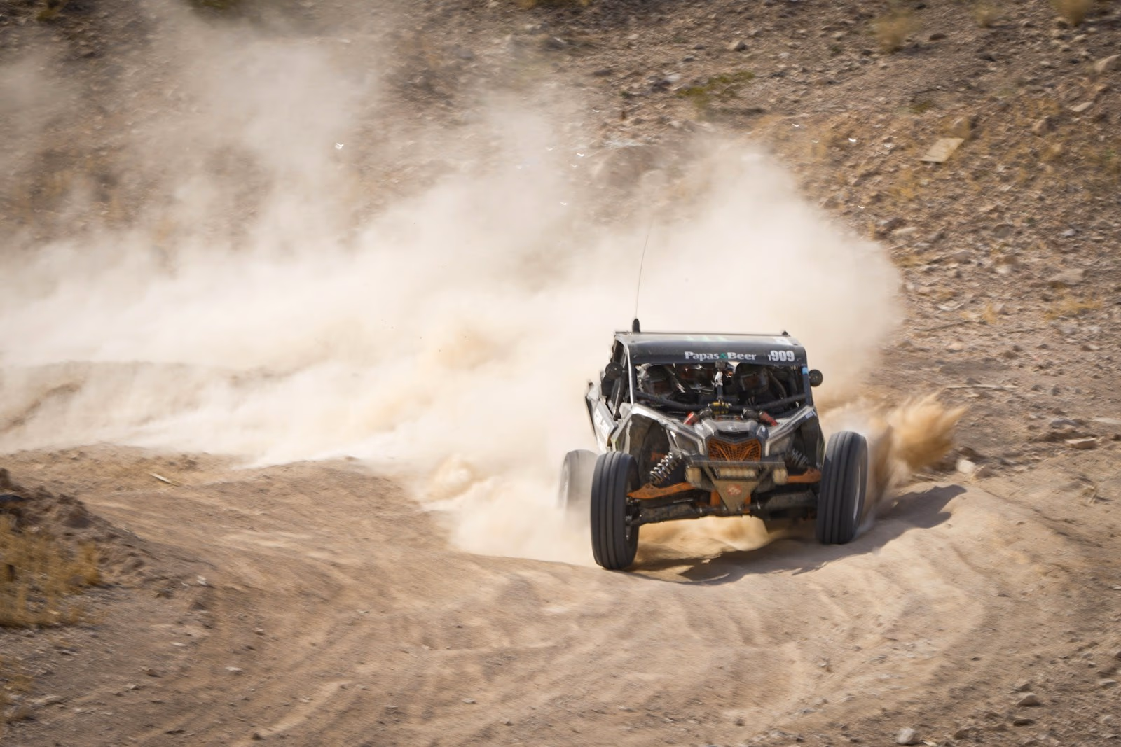 Excursion en Buggy